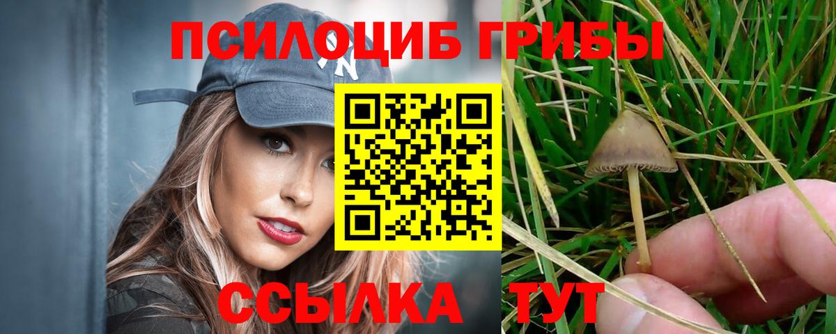 Галлюциногенные грибы MAGIC MUSHROOMS  Псилоцибиновые грибы GOLDEN TEACHER  цена наркотик  Когалым  Вход с VPN 