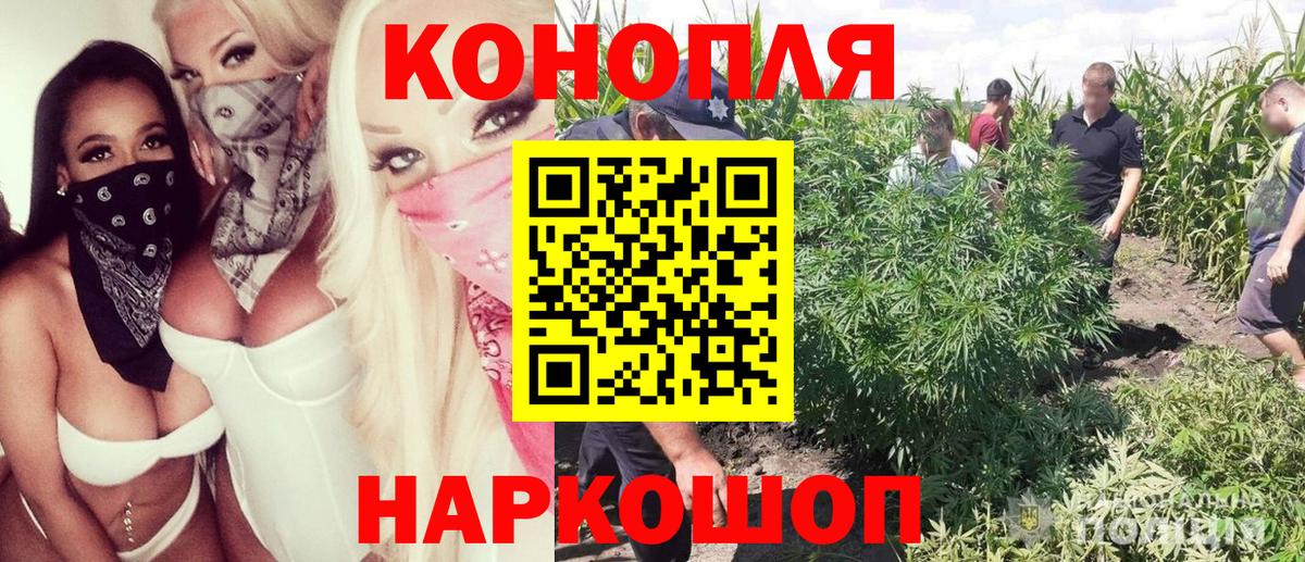 Шишки марихуана планчик  Бошки марихуана Amnesia  Вход с VPN  Когалым 